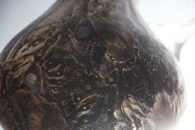 Detail braun-wei gesprenkeltes Glas